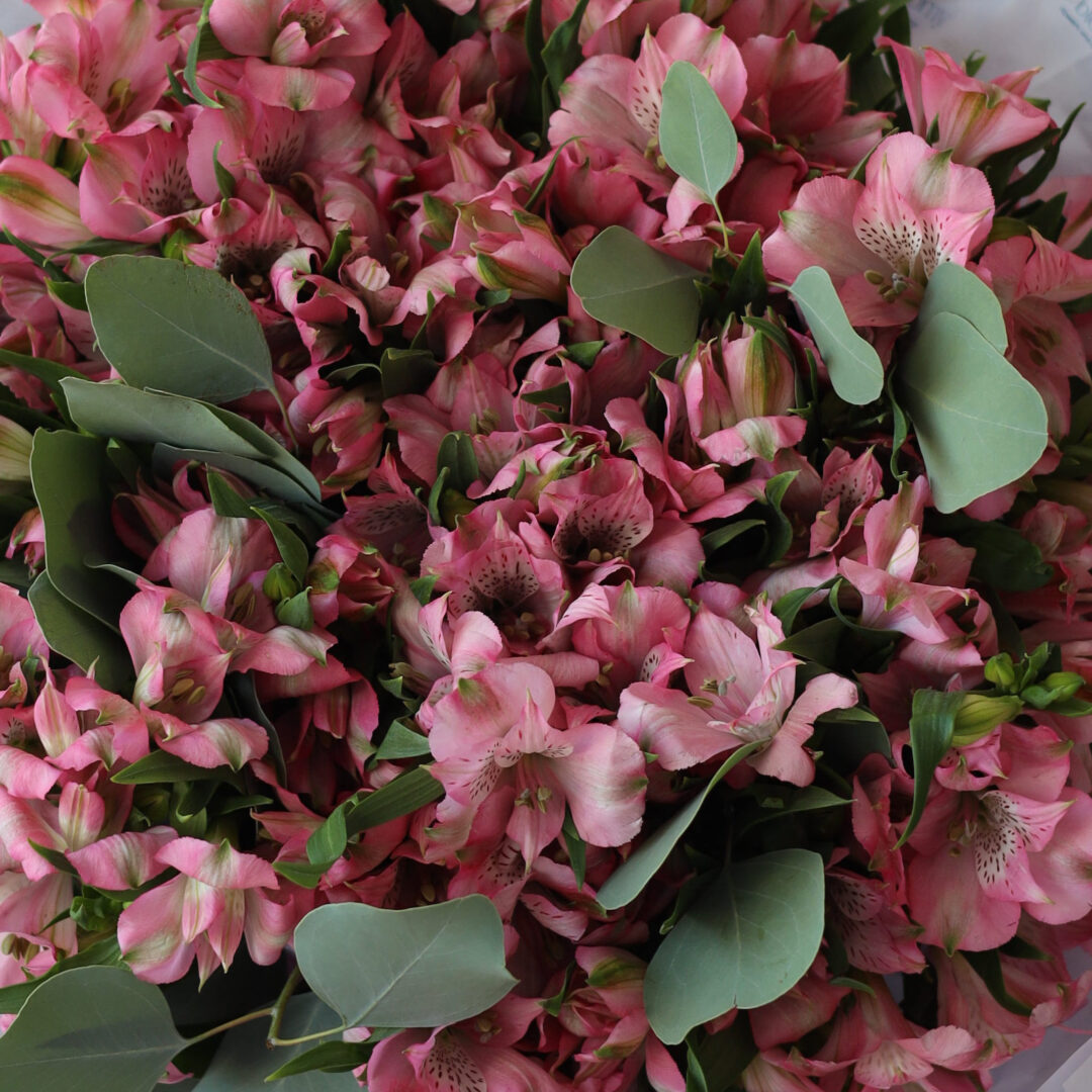 123.5€ - Копия