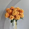 IMG_3875