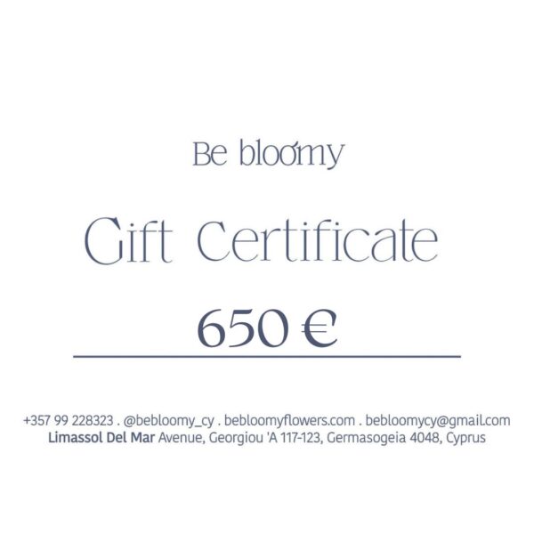 Gift Card 650 €